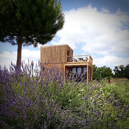 Villa Manege De La Chapiniere - Dadaloge Tiny-House Châteauvieux Exterior foto