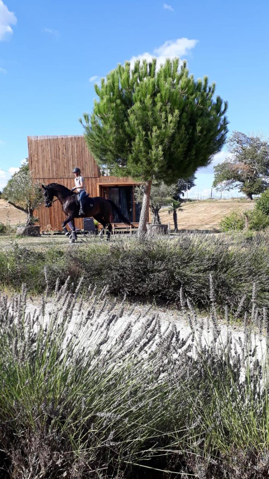 Villa Manege De La Chapiniere - Dadaloge Tiny-House Châteauvieux Exterior foto
