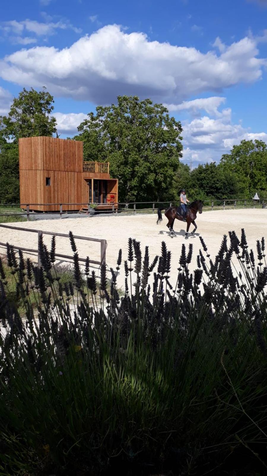 Villa Manege De La Chapiniere - Dadaloge Tiny-House Châteauvieux Exterior foto