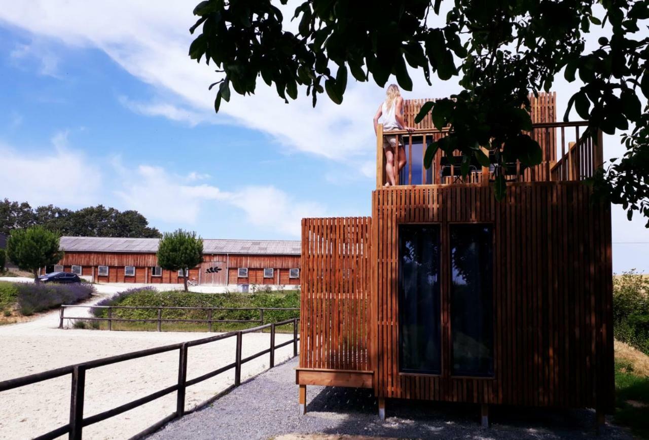 Villa Manege De La Chapiniere - Dadaloge Tiny-House Châteauvieux Exterior foto